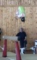 Photo 3 – Fribourgeoise au Mouret (27 avril)