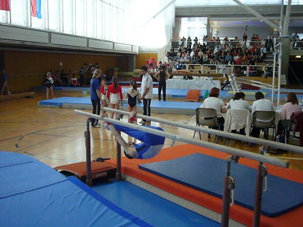 Photo 142 – Genevoise au Bois-des-Frères (19 avril)