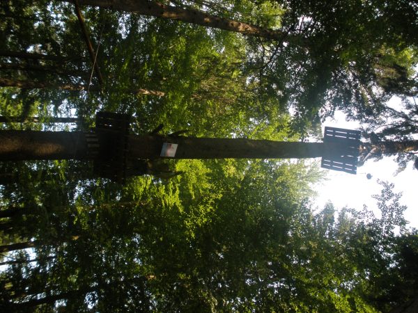Photo 43 – Fin de saison au Signal de Bougy (30 juin)