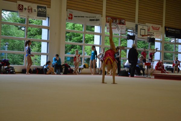 Photo 4 – Bernoise à Utzenstorf (11 mai)
