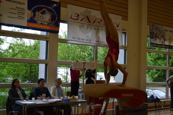 Photo 5 – Bernoise à Utzenstorf (11 mai)