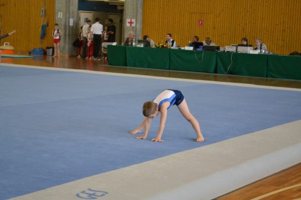Photo 28 – Genevoise au Bois-des-Frères (4-5 mai)