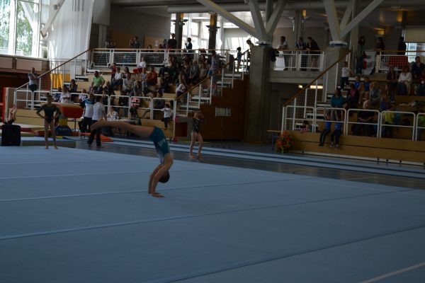 Photo 5 – Genevoise au Bois-des-Frères (2-3 mai)