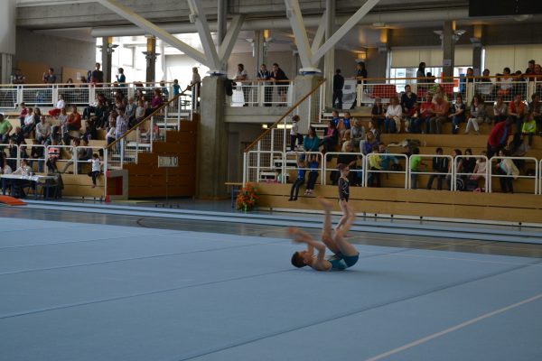Photo 7 – Genevoise au Bois-des-Frères (2-3 mai)