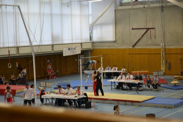 Photo 34 – Genevoise au Bois-des-Frères (2-3 mai)