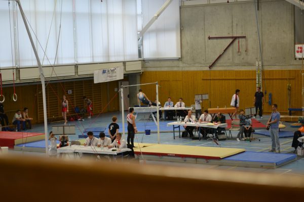 Photo 36 – Genevoise au Bois-des-Frères (2-3 mai)