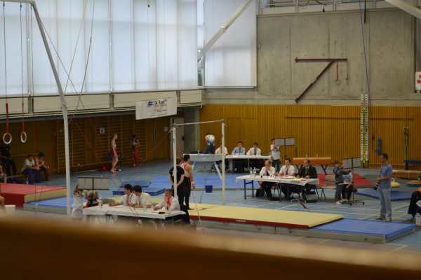 Photo 39 – Genevoise au Bois-des-Frères (2-3 mai)