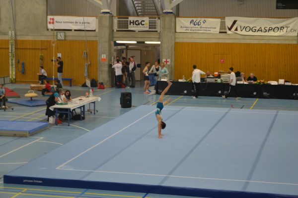 Photo 162 – Genevoise au Bois-des-Frères (2-3 mai)