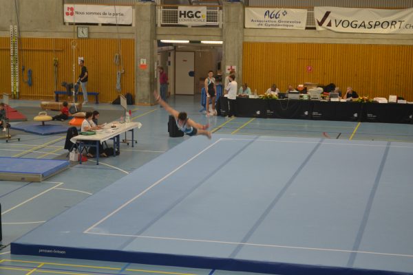 Photo 181 – Genevoise au Bois-des-Frères (2-3 mai)