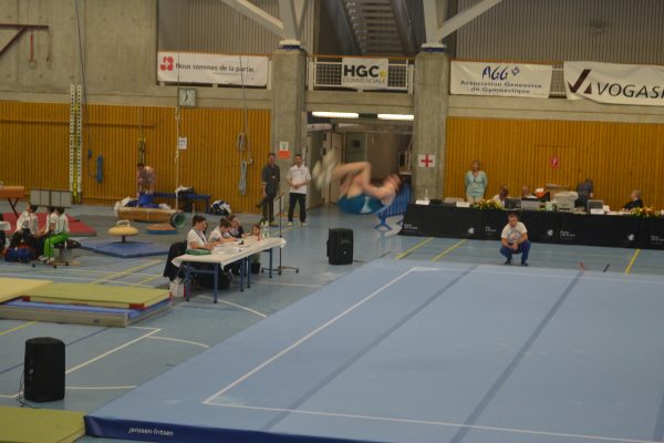 Photo 195 – Genevoise au Bois-des-Frères (2-3 mai)