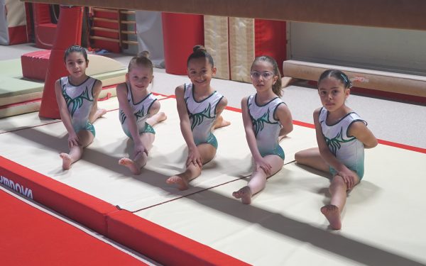 Photo 2 – Gymnastes montreusiennes GAF (15 mars)