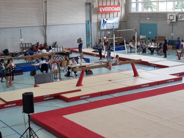 Photo 9 – Bernoise à Uetendorf (21 mai)